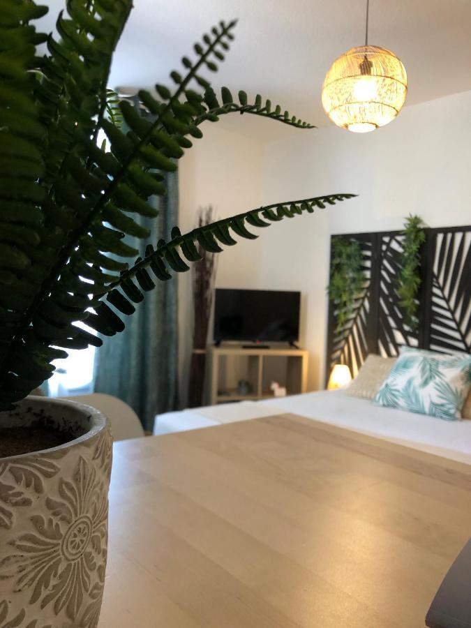 Appartement Equateur-centre Jaude