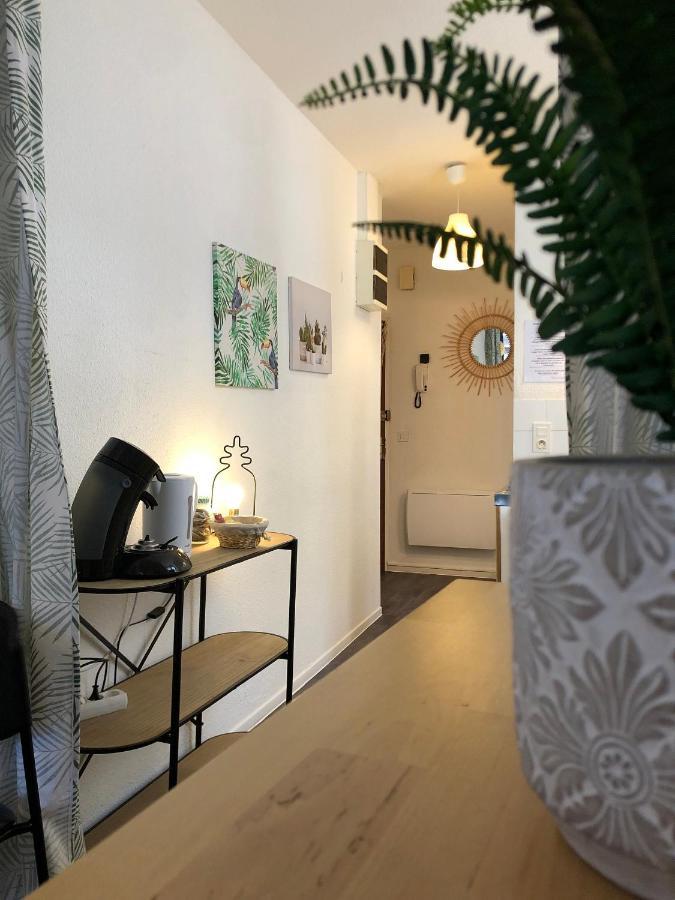 Equateur-centre Jaude Appartement